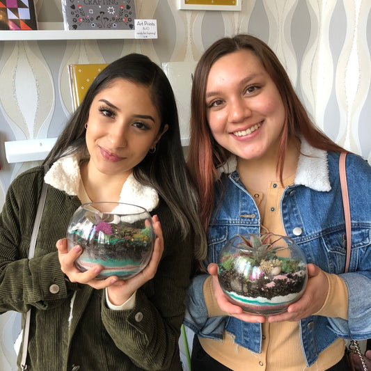 virtual terrarium class