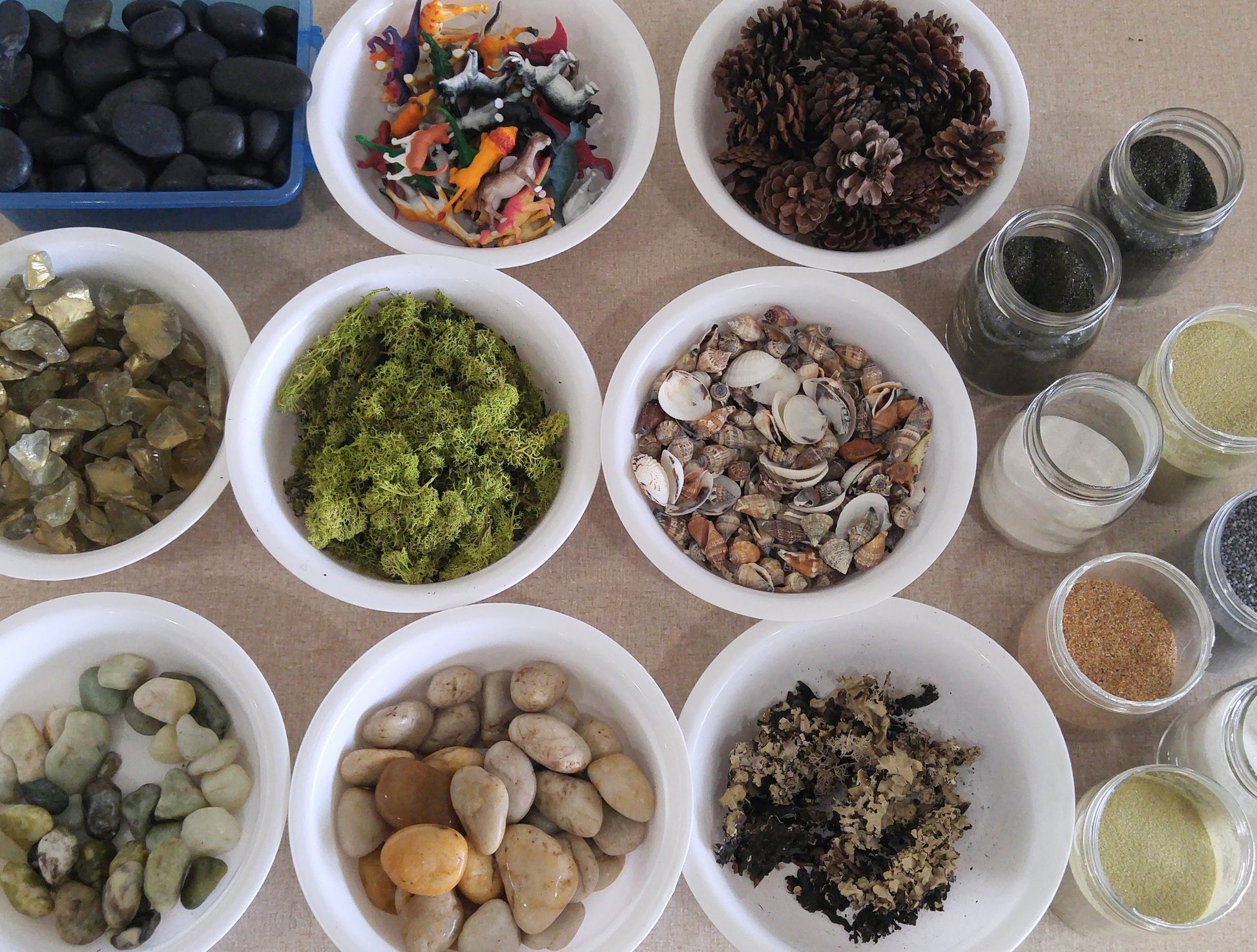 terrarium supplies for the workshop