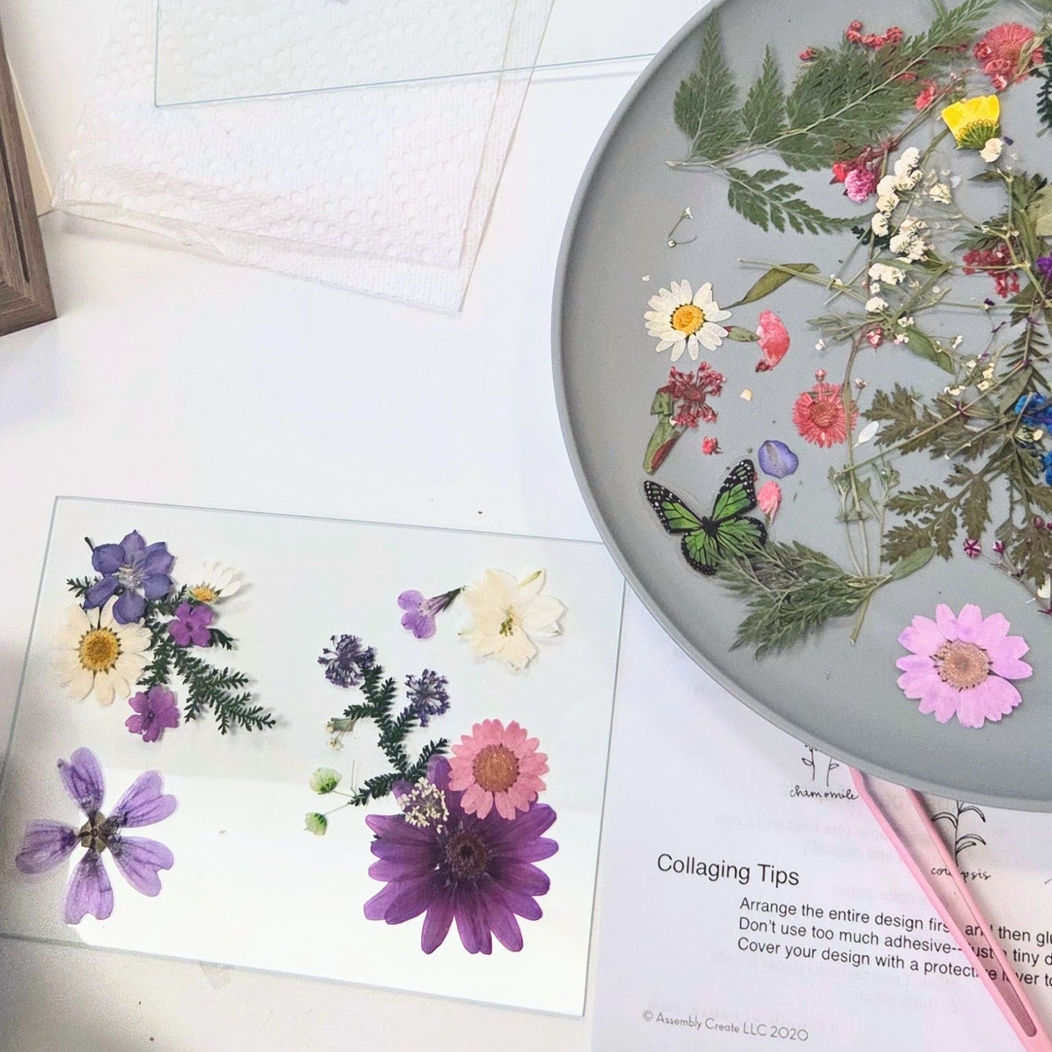 Flower Pressing Art Crafts Class 