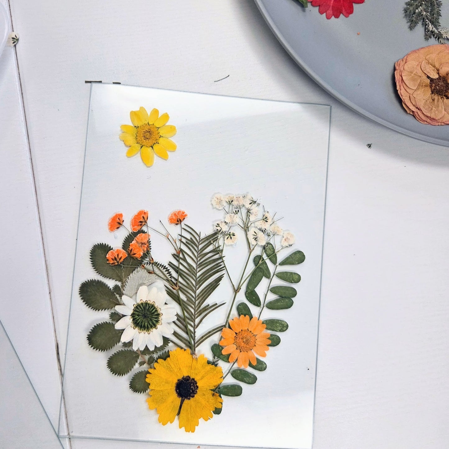 pressed flower art class las cruces