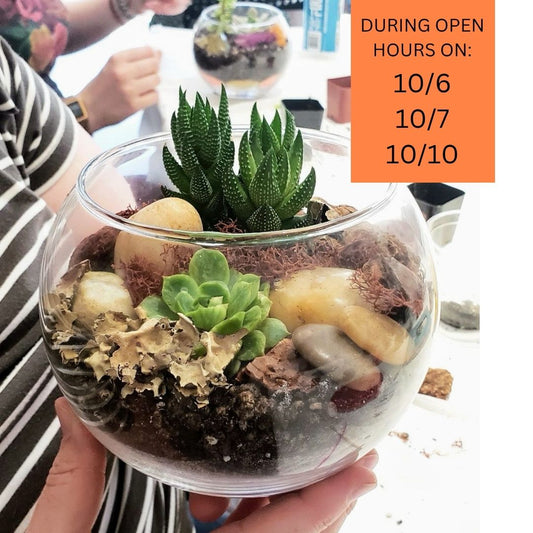 Fall Break: Drop-In Terrarium Bar