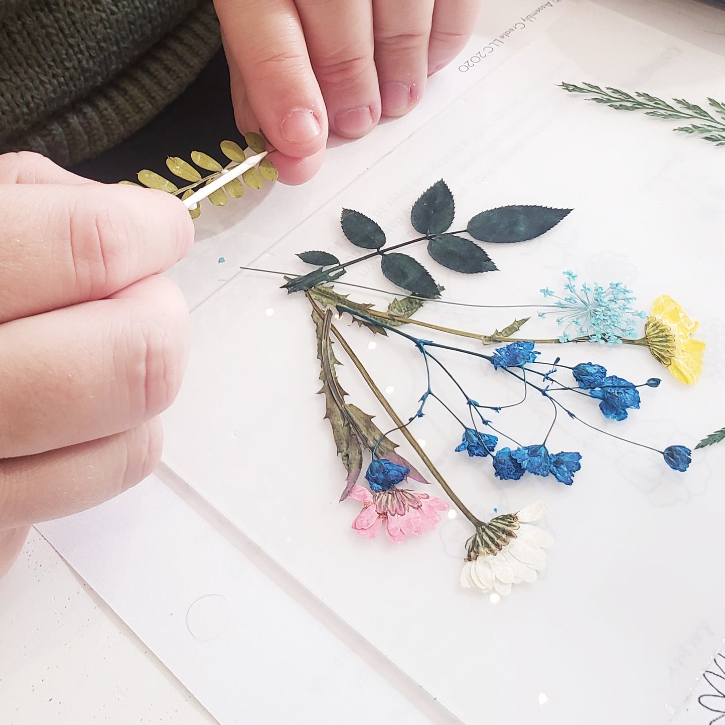 Pressed Flower Collage Class and Kit