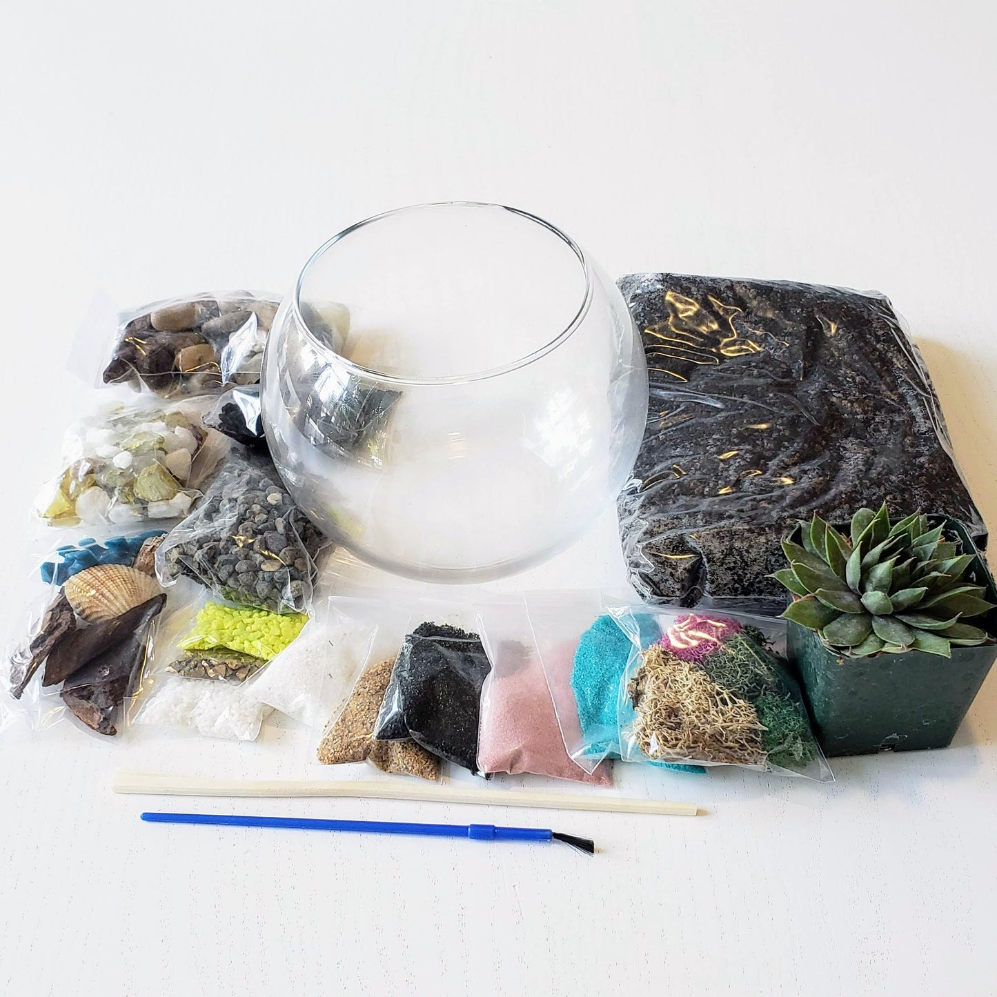 [Virtual] Succulent Terrarium Class