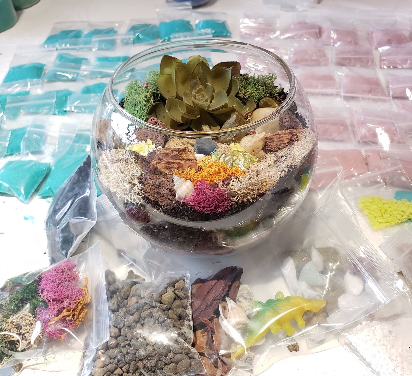 fun things to do during spring break las cruces