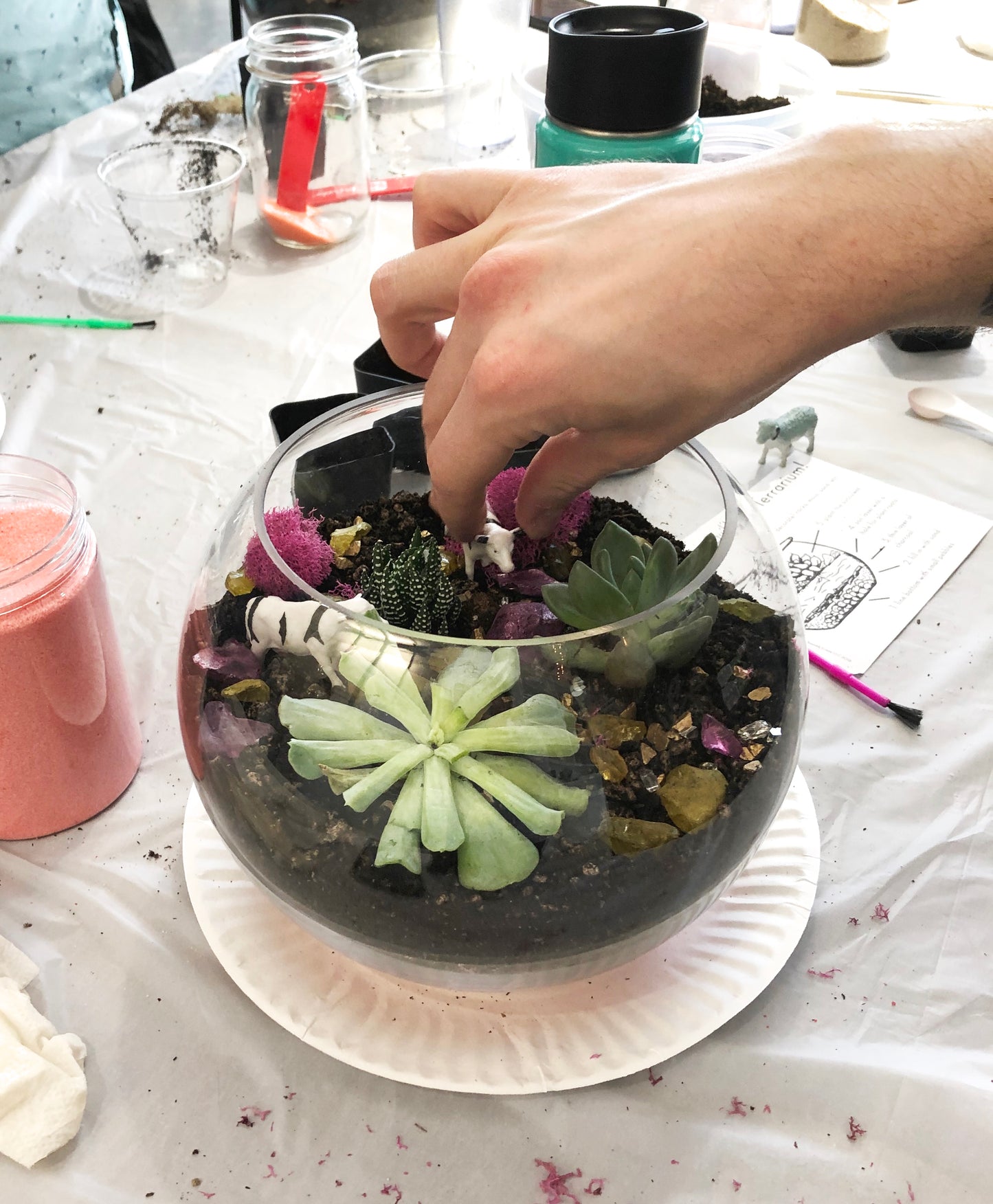 [Virtual] Succulent Terrarium Class