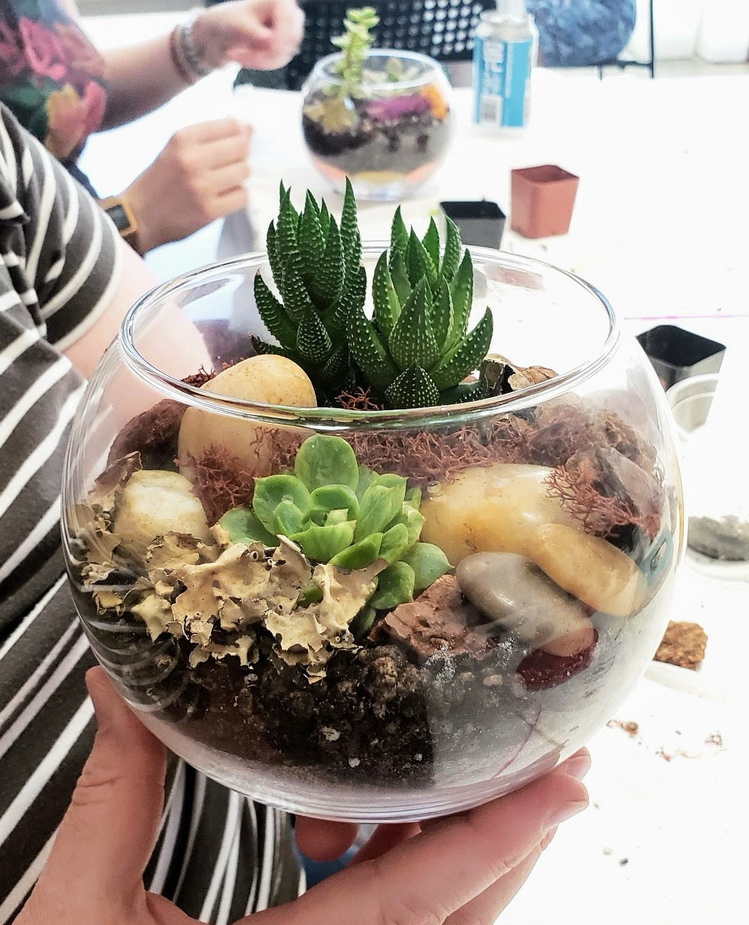 Succulent Terrarium Workshop