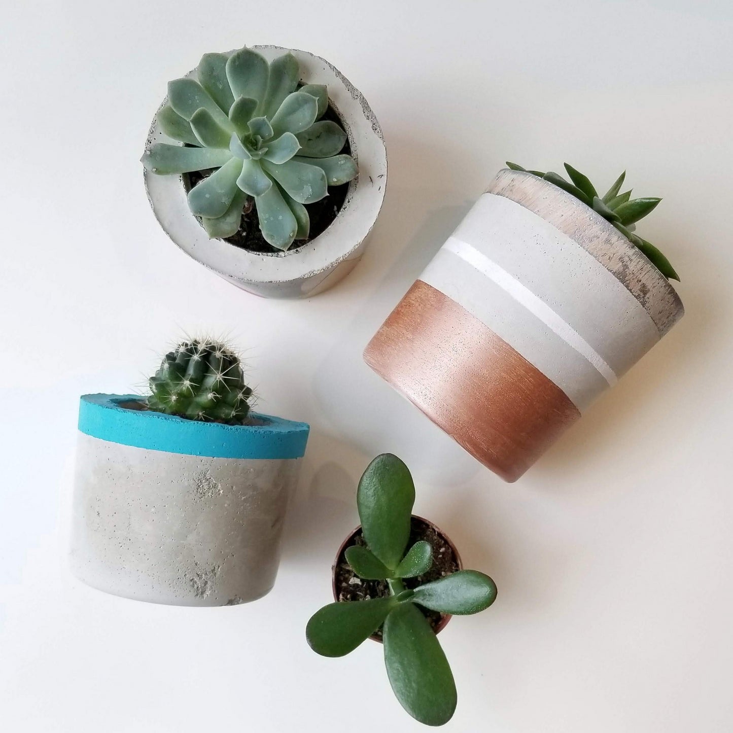 Concrete Planter Workshop