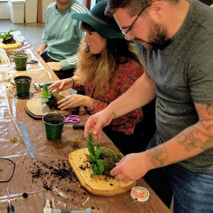 wood mounted plant workshop 