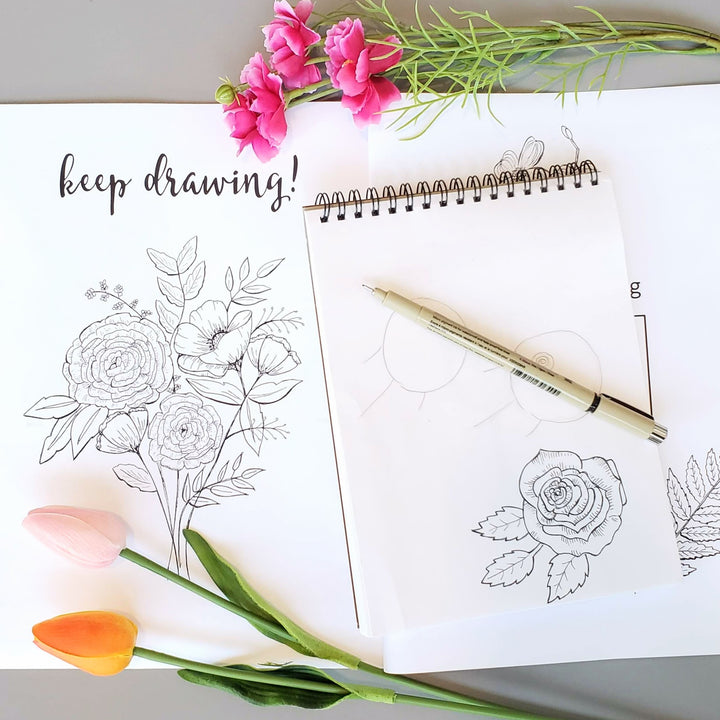 botanical illustration line drawing class