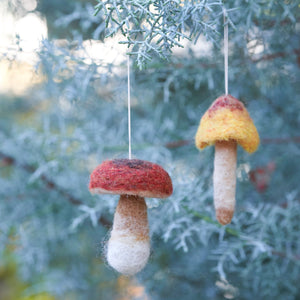 felted mushroom kit