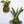 kokedama houseplant workshop portland
