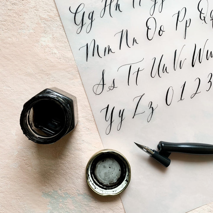 pointed pen calligraphy workshop