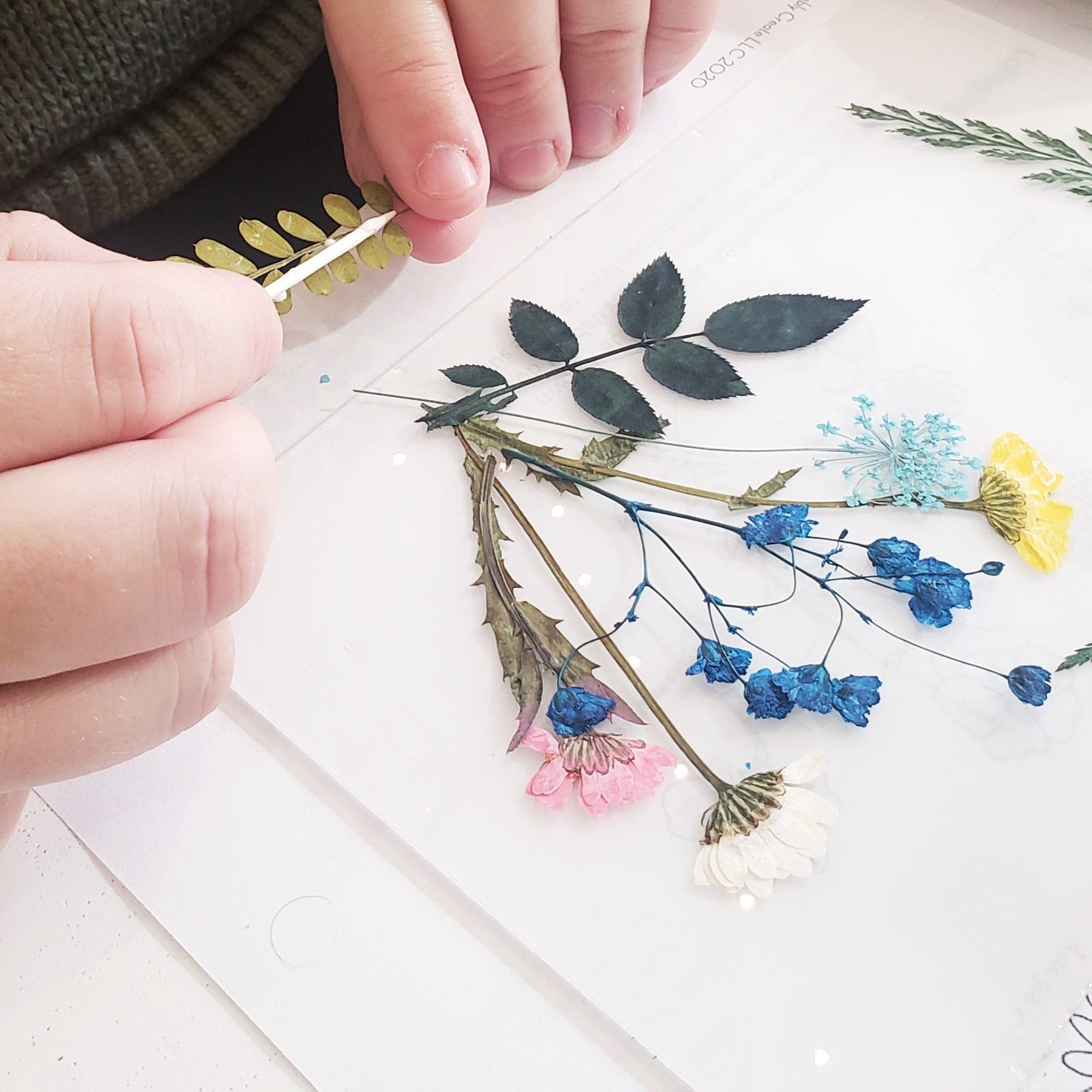 how to press flowers