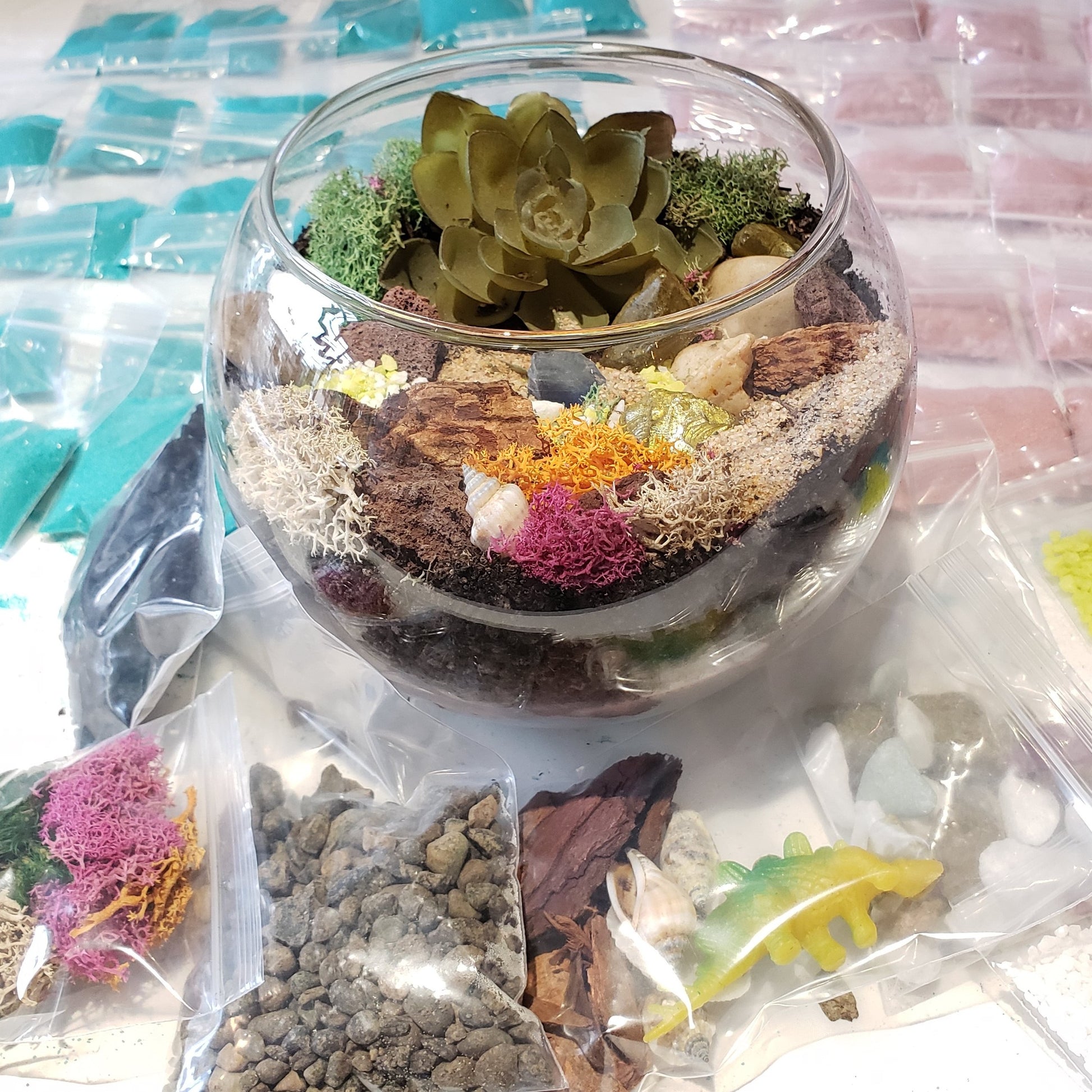 terrarium kit online class