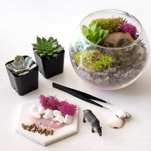 Succulent Terrarium Workshop
