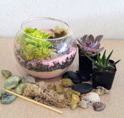 online succulent terrarium class 